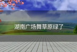 湖南广场舞草原绿了