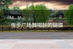 曳步广场舞喝醉的蝴蝶