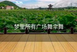 梦里所有广场舞伞舞