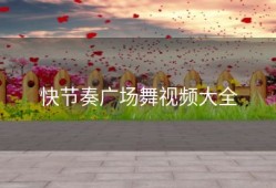 快节奏广场舞视频大全