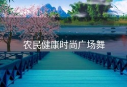 农民健康时尚广场舞