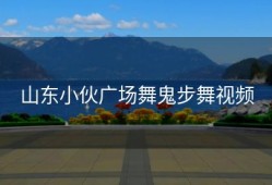 山东小伙广场舞鬼步舞视频