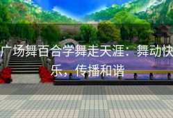 广场舞百合学舞走天涯：舞动快乐，传播和谐