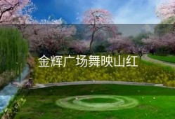 金辉广场舞映山红