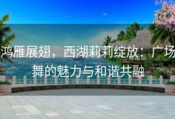 鸿雁展翅，西湖莉莉绽放：广场舞的魅力与和谐共融