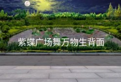 紫蝶广场舞万物生背面