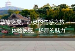 草原之夏，心灵的伤感之旅 —— 体验伤感广场舞的魅力