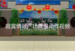 寂寞情歌广场舞慢动作视频