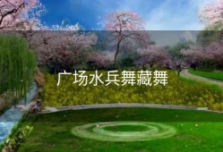 广场水兵舞藏舞