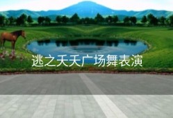 逃之夭夭广场舞表演