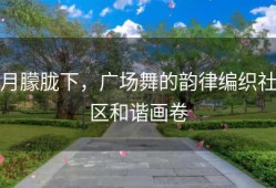 月朦胧下，广场舞的韵律编织社区和谐画卷