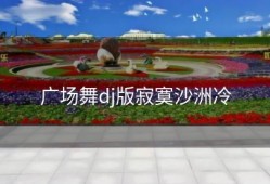 广场舞dj版寂寞沙洲冷