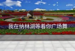 我在纳林湖等着你广场舞