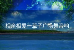 相亲相爱一辈子广场舞音响