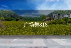 广场舞818