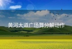 黄河大道广场舞分解动作