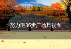 努力吧36步广场舞视频