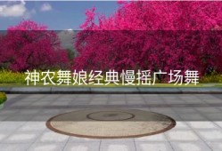 神农舞娘经典慢摇广场舞