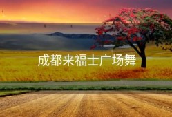 成都来福士广场舞