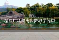 糖豆广场舞鬼步舞教学简单