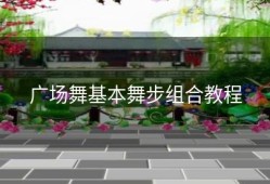 广场舞基本舞步组合教程