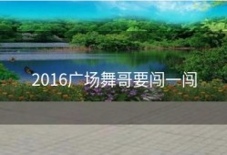 2016广场舞哥要闯一闯
