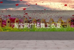 淘宝网广场舞上衣夏