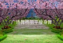 广场舞杨丽平瘦身舞