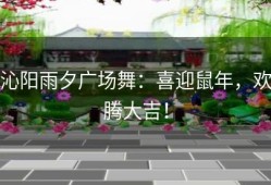 沁阳雨夕广场舞：喜迎鼠年，欢腾大吉！