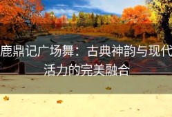 鹿鼎记广场舞：古典神韵与现代活力的完美融合