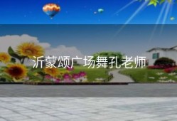 沂蒙颂广场舞孔老师