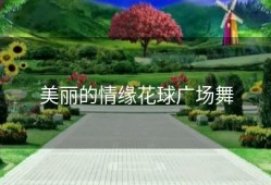 美丽的情缘花球广场舞