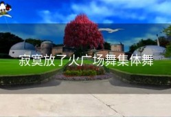 寂寞放了火广场舞集体舞