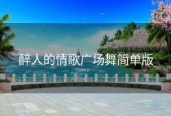 醉人的情歌广场舞简单版