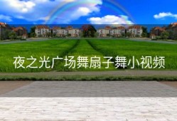 夜之光广场舞扇子舞小视频