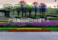 广场舞别知己玲珑个人