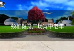 颈椎健身广场舞中老年