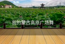 我的蒙古高原广场舞