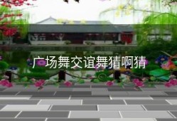 广场舞交谊舞猜啊猜