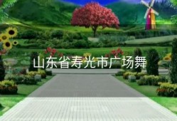 山东省寿光市广场舞