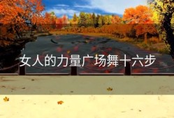 女人的力量广场舞十六步