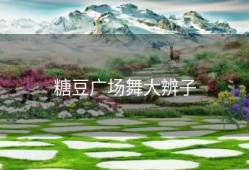 糖豆广场舞大辨子