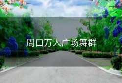 周口万人广场舞群