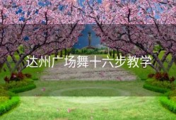 达州广场舞十六步教学