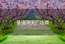 豪情冲天广场舞