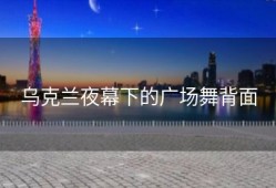 乌克兰夜幕下的广场舞背面