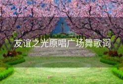 友谊之光原唱广场舞歌词