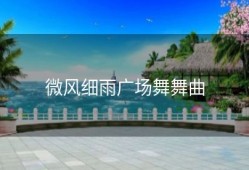 微风细雨广场舞舞曲