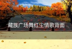 藏族广场舞红尘情歌背面