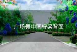 广场舞中国脊梁背面